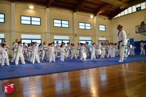 Εξετάσεις έγχρωμων ζωνών & επιδείξεις Taekwondo & Hapkido